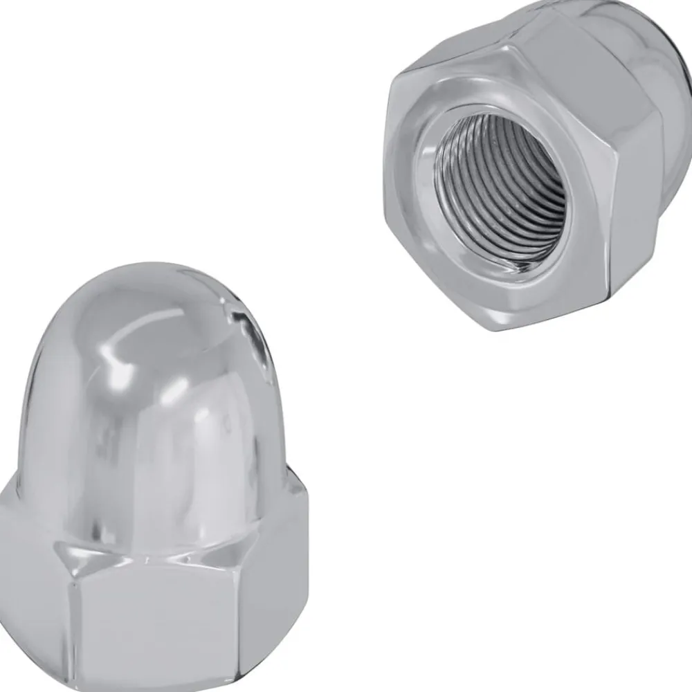 Moer 2 pcs Zilver M6 x 10 mm IJzer>vidaXL Best