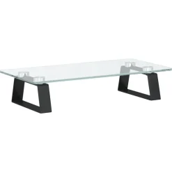 Monitorstandaard 40x20x8 cm gehard glas en metaal>vidaXL Clearance