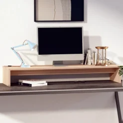 Elektronica*vidaXL Monitorstandaard 100x27x15 cm massief grenenhout Naturel
