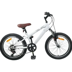 Mountainbike 20 Inch 6-Snelheid voor 5-8 jaar oud>vidaXL Discount