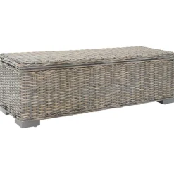 Opbergbox 110 cm natuurlijk kubu rattan en mahoniehout>vidaXL Sale