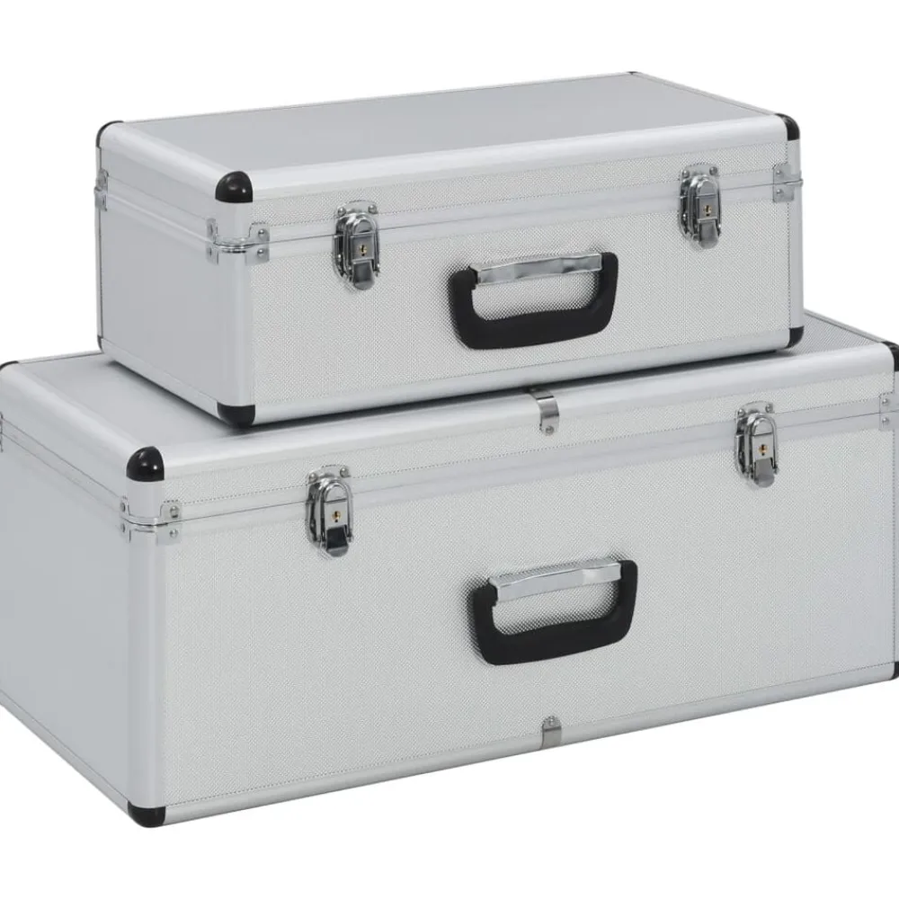 Opbergkoffers 2 st aluminium kleurig>vidaXL New