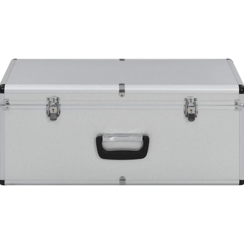 Opbergkoffers 2 st aluminium kleurig>vidaXL New
