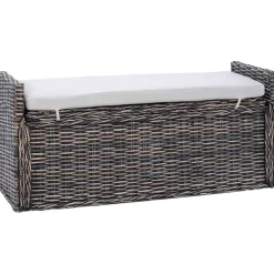 Bankjes*vidaXL Opslagbank met kussen 110 x 40 x 50 cm Rattan Zwart gewassen