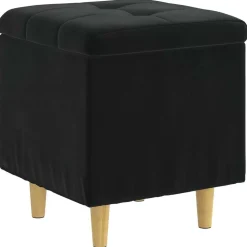 Stoelen*vidaXL Opslagottoman met kussen 40 x 40 x 45 cm Fluweel Zwart