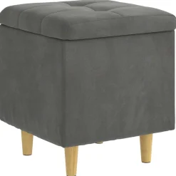 Stoelen*vidaXL Opslagottoman met kussen 40 x 40 x 45 cm Fluweel Donkergrijs