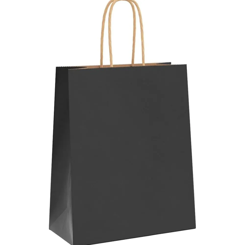 Kunst & Entertainment*vidaXL Papieren zakken 250 st met hengsels 18x8x22 cm Zwart