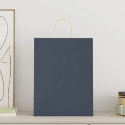 Papieren zakken 250 st met hengsels 32x12x42 cm>vidaXL Hot