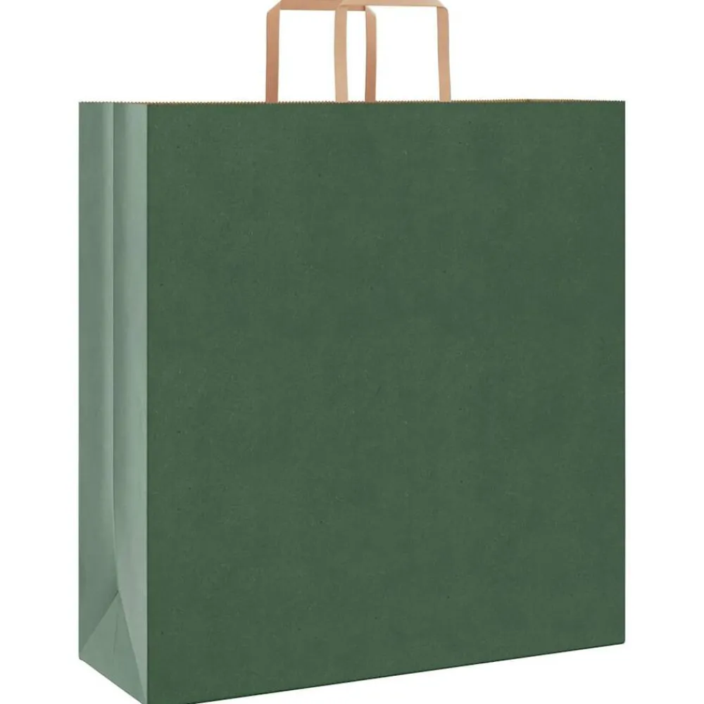 Papieren zakken 250 st met hengsels 45x17x48 cm>vidaXL Online