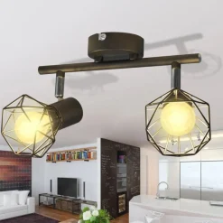 Plafondlamp met 2 LED's industriële stijl zwart>vidaXL Sale