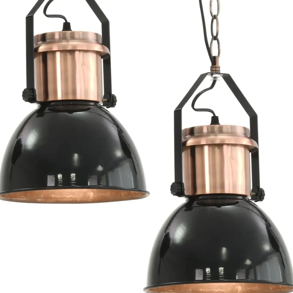 Verlichting*vidaXL Plafondlampen 2 st rond E27 zwart