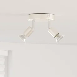 Plafondspot met schijnwerpers Nikkel 12 x 8 cm Staal>vidaXL Clearance