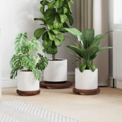 Tuin & Gazon*vidaXL Plant Stool 3 pcs Bruin Mahoniehout