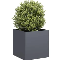 Plantenbak 40x40x40 cm koudgewalst staal kleurig>vidaXL Discount