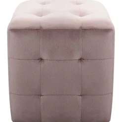 Poefs*vidaXL Poef 2 st 30x30x30 cm fluweel Roze