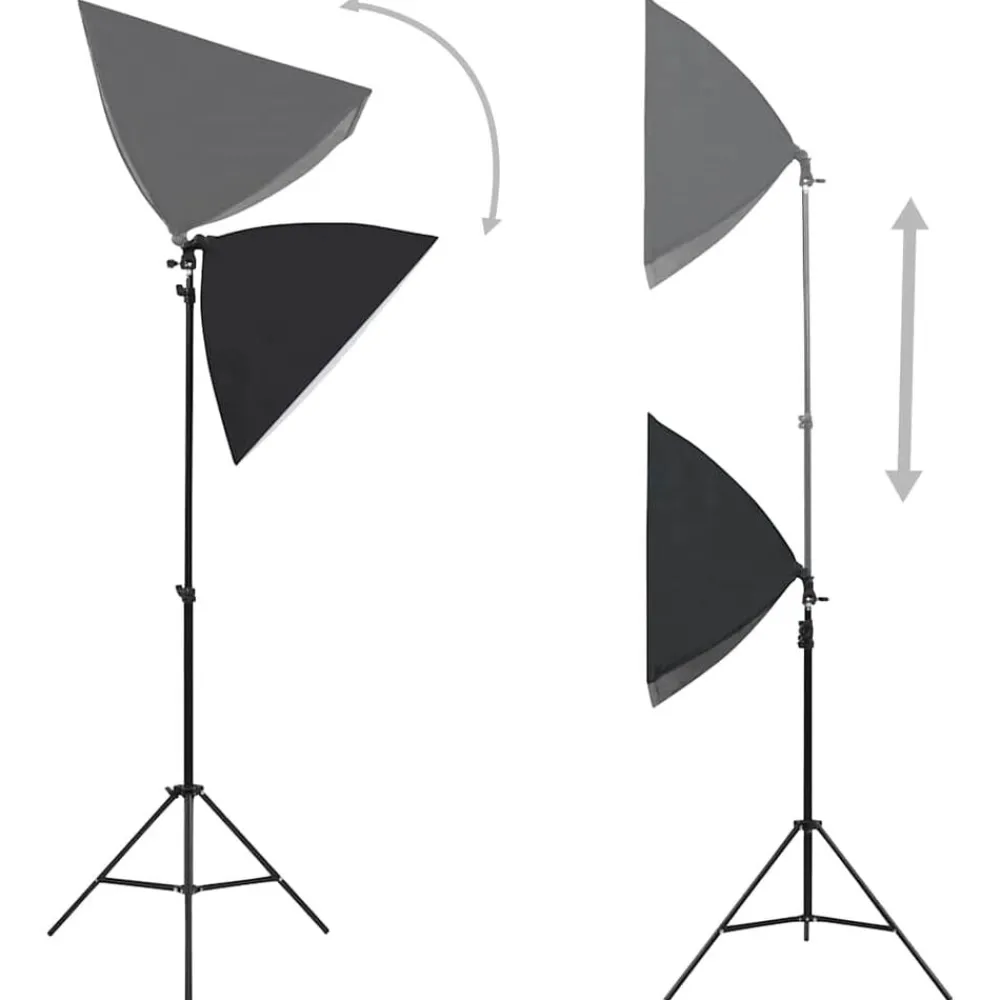Professionele studiolampen 2 st 40x60 cm staal zwart>vidaXL Hot
