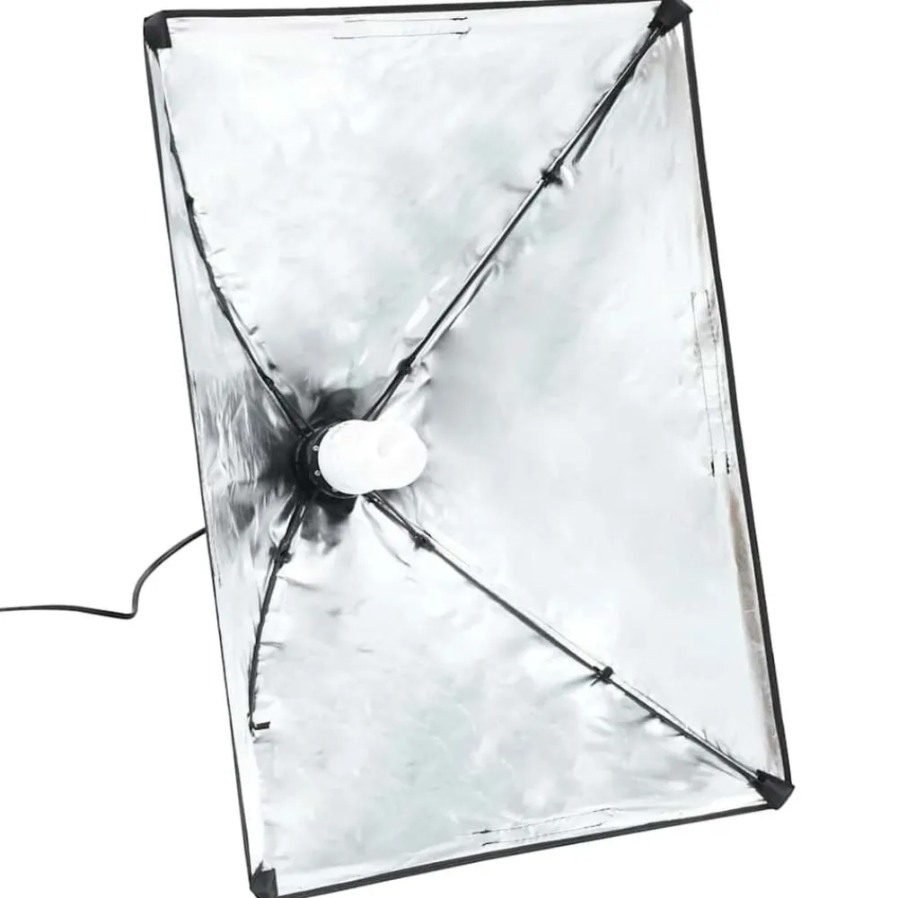 Professionele studiolampen 2 st 40x60 cm staal zwart>vidaXL Hot