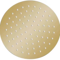 Sanitair & Loodgietersbenodigdheden*vidaXL Regendouchekop rond 20 cm roestvrij staal kleurig Goud