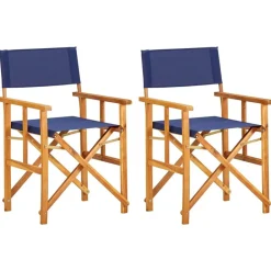 Tuinmeubelen*vidaXL Regisseursstoelen 2 st massief acaciahout Blauw