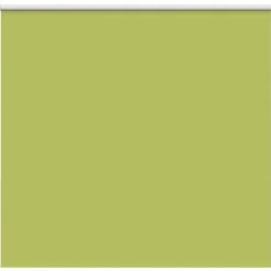 Woon- & Tuinaccessoires*vidaXL Rolgordijn verduisterend 150x130 cm stofbreedte 146,6 cm Bladgroen