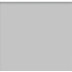 Woon- & Tuinaccessoires*vidaXL Rolgordijn verduisterend 155x175 cm stofbreedte 151,6 cm Lichtgrijs