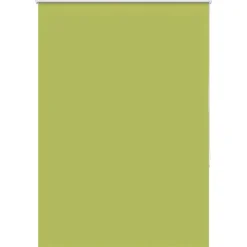 Woon- & Tuinaccessoires*vidaXL Rolgordijn verduisterend 110x150 cm stofbreedte 105,7 cm Bladgroen