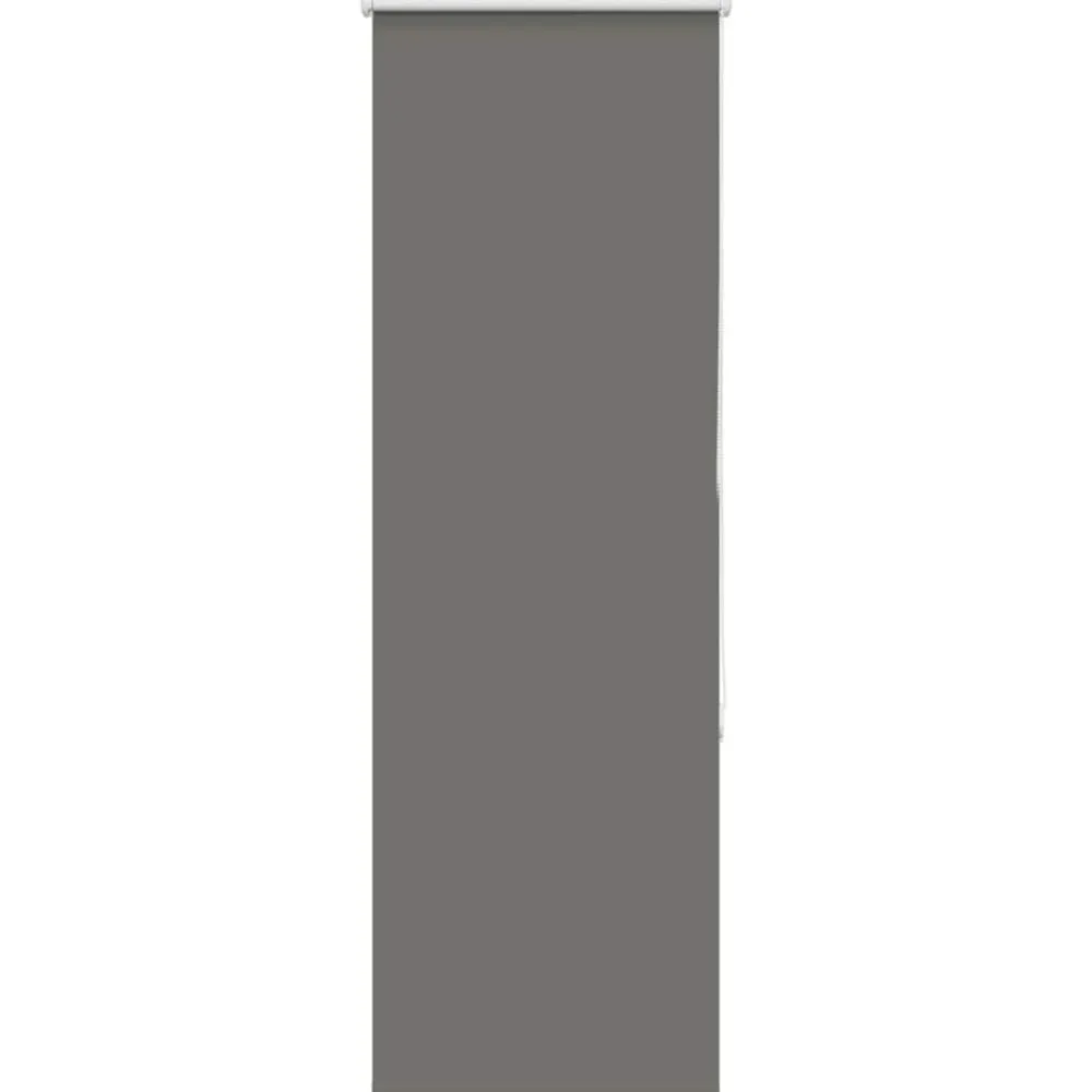 Woon- & Tuinaccessoires*vidaXL Rolgordijn verduisterend 40x130cm stofbreedte 35,7 cm polyester Grijs