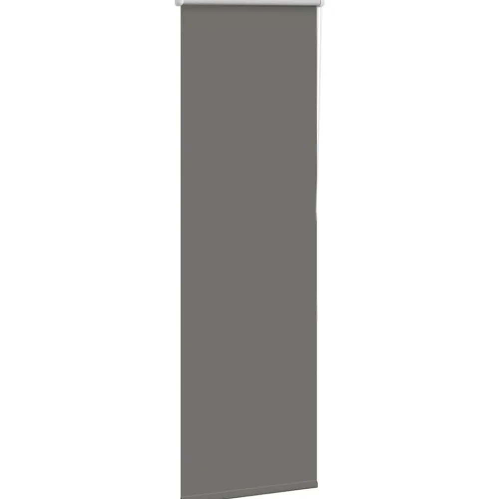 Woon- & Tuinaccessoires*vidaXL Rolgordijn verduisterend 40x130cm stofbreedte 35,7 cm polyester Grijs