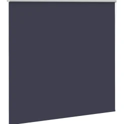 Woon- & Tuinaccessoires*vidaXL Rolgordijn verduisterend 165x175 cm stofbreedte 161,6 cm blauw Zeeblauw