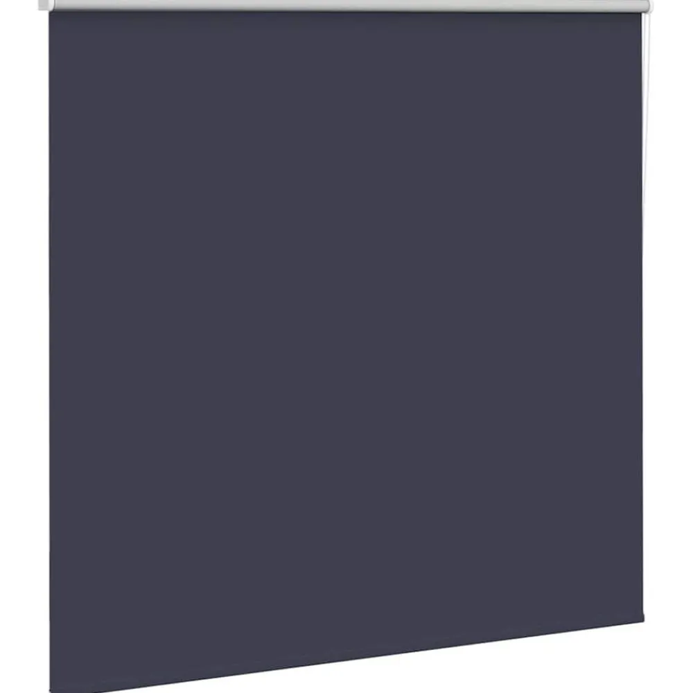Woon- & Tuinaccessoires*vidaXL Rolgordijn verduisterend 165x175 cm stofbreedte 161,6 cm blauw Zeeblauw