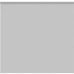 Woon- & Tuinaccessoires*vidaXL Rolgordijn verduisterend 160x150 cm stofbreedte 156,6 cm Lichtgrijs