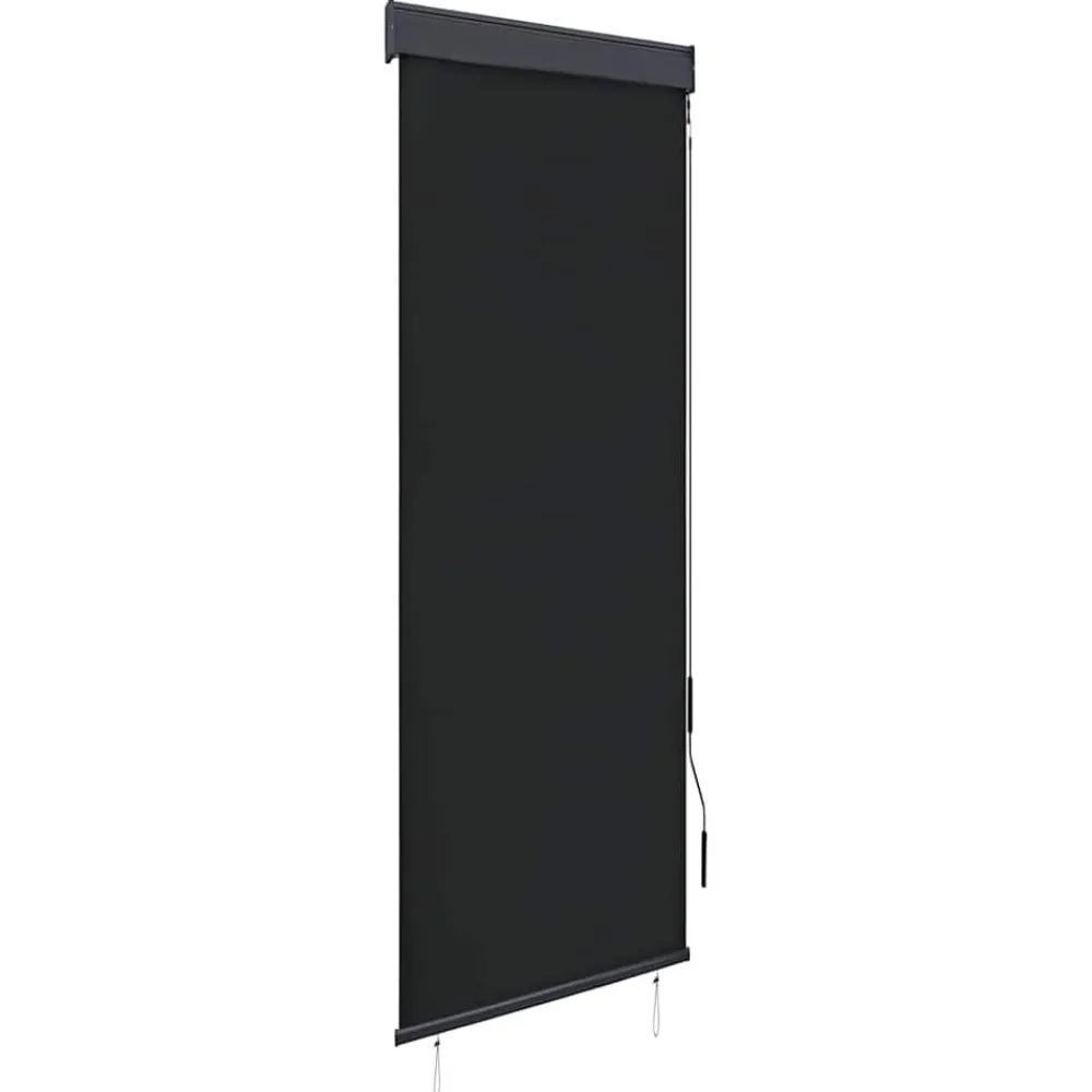Rolgordijn voor buiten 60x250 cm>vidaXL Discount