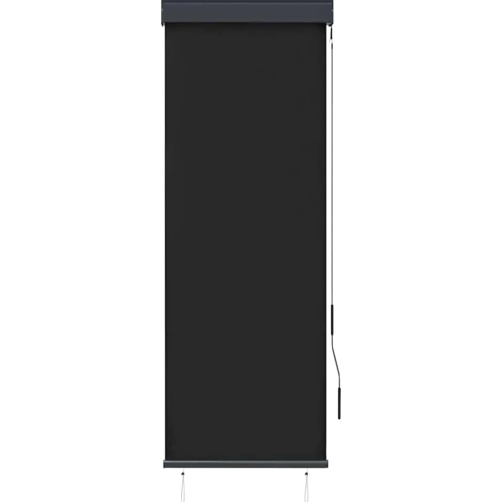 Rolgordijn voor buiten 60x250 cm>vidaXL Discount