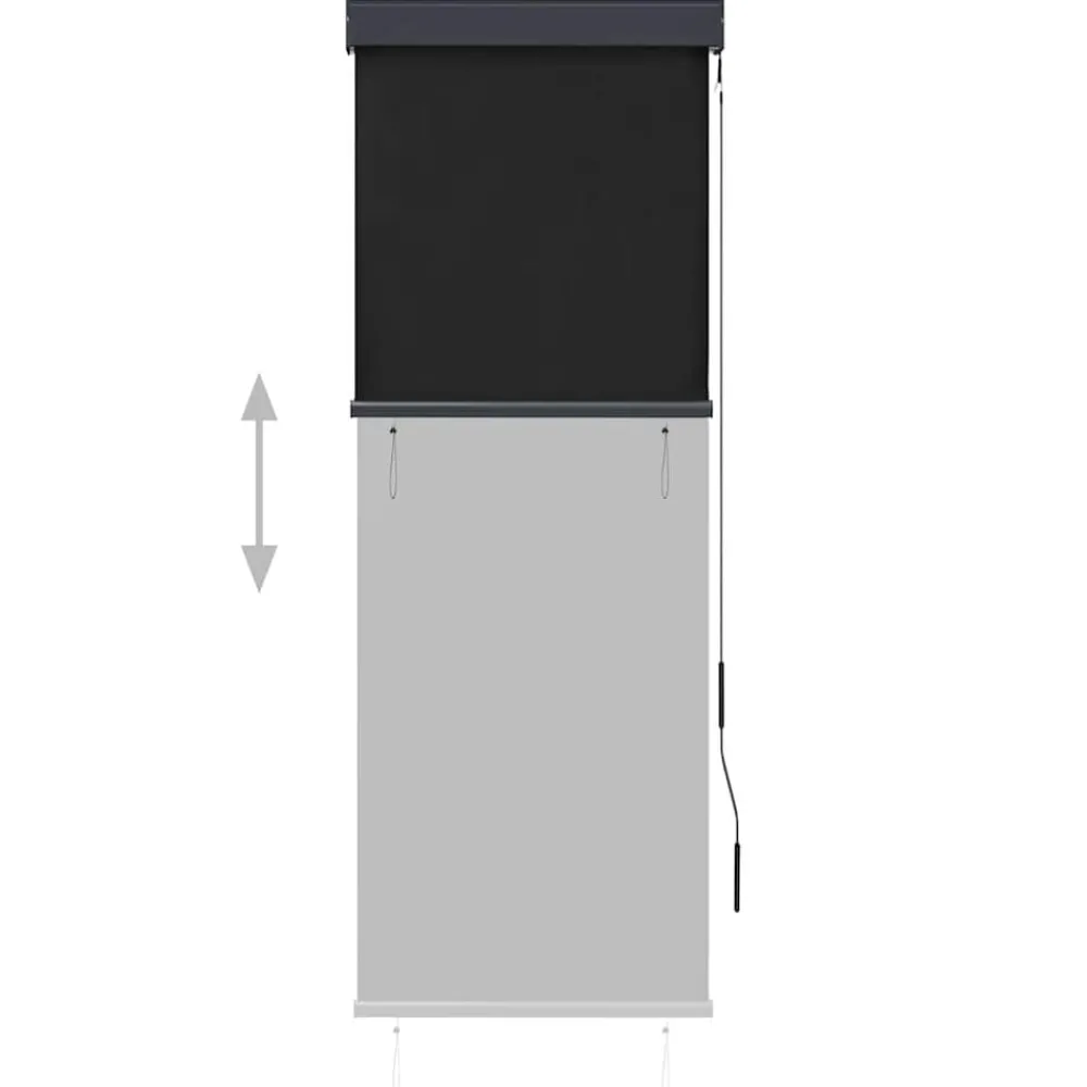 Rolgordijn voor buiten 60x250 cm>vidaXL Discount