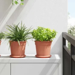 Tuin & Gazon*vidaXL Ronde Bloemenschalen 6 pcs Ø 14 x 2 cm Kunststof Baksteenrood