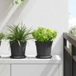 Ronde Bloemenschalen 6 pcs Ø 15,5 x 2 cm Kunststof>vidaXL Online