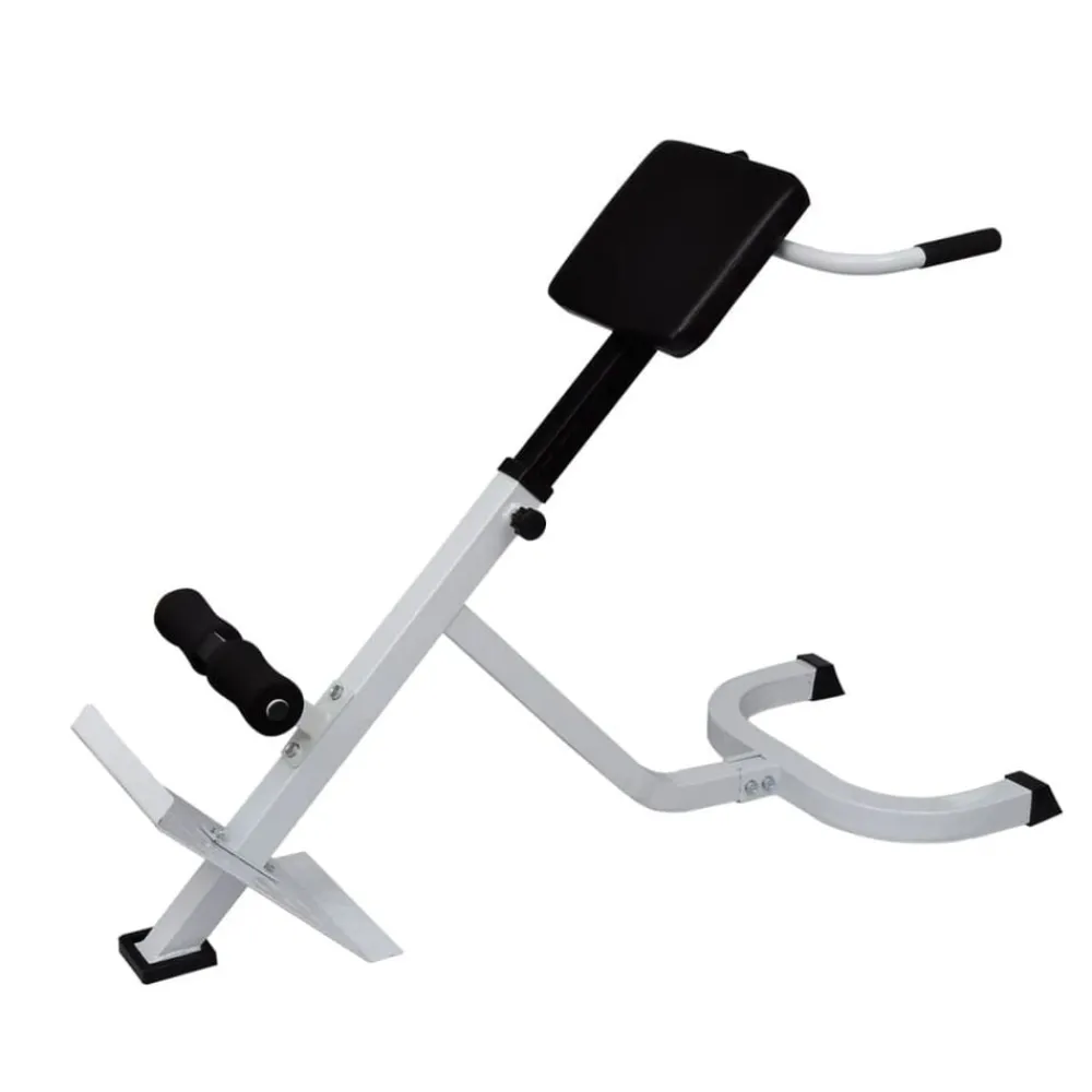 Fitness*vidaXL Rugspiertrainingsbank
