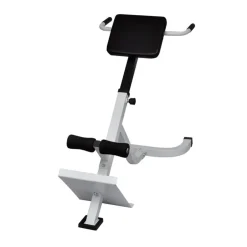 Fitness*vidaXL Rugspiertrainingsbank