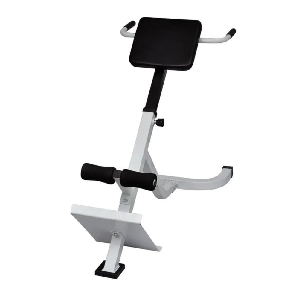 Fitness*vidaXL Rugspiertrainingsbank