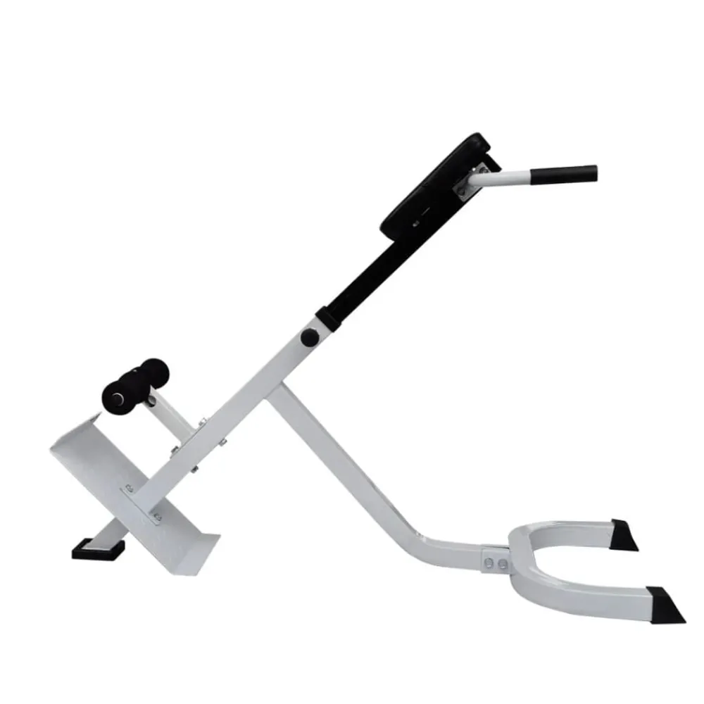 Fitness*vidaXL Rugspiertrainingsbank