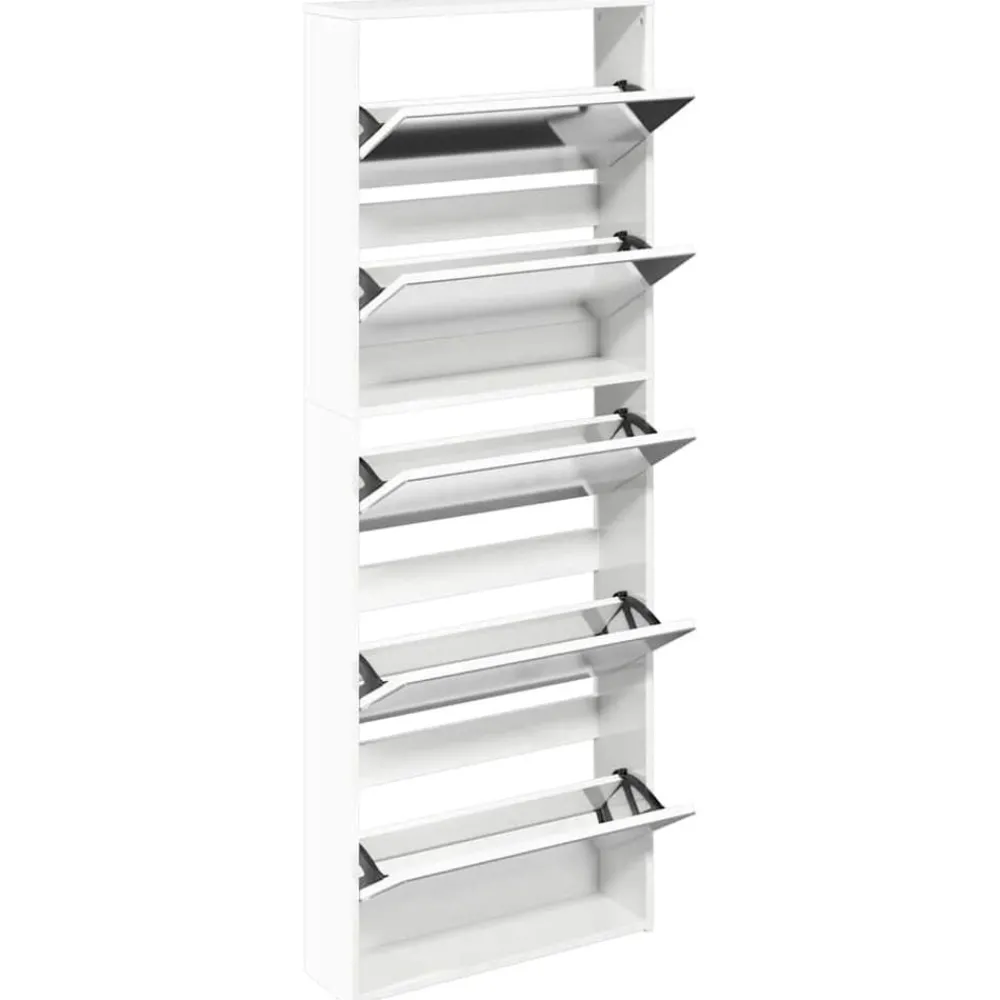 Schoenenkast met spiegel 5-laags 63x17x169,5 cm>vidaXL Online