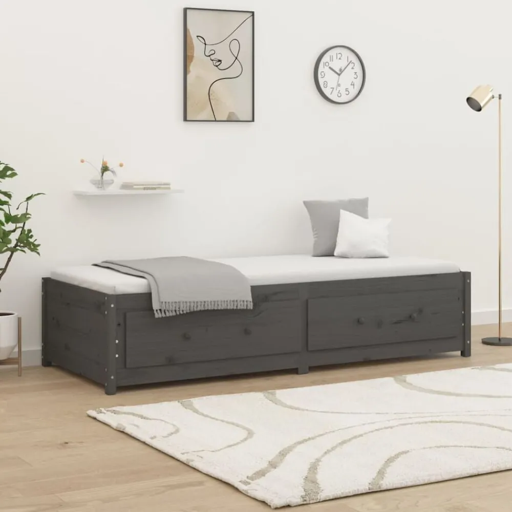 Bedden & Accessoires*vidaXL Slaapbank 90x200 cm massief grenenhout Grijs