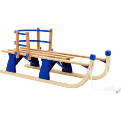 Buitensport*vidaXL Sneeuwslee met rugleuning inklapbaar 119 cm hout Blauw