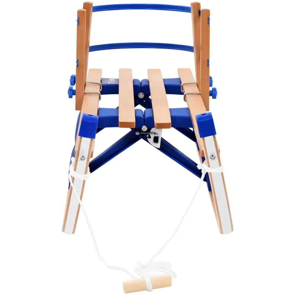 Buitensport*vidaXL Sneeuwslee met rugleuning inklapbaar 119 cm hout Blauw