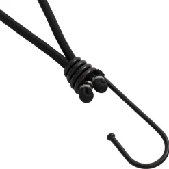 Buitensport*vidaXL Spanelastiek met haken 25 st 17 cm