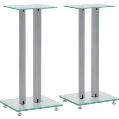 Elektronica*vidaXL Speakerstandaarden zuil-ontwerp gehard glas 2 st Zilver