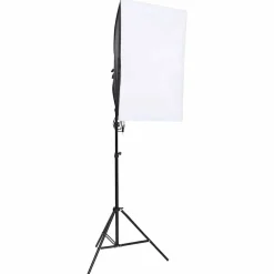 Camera & Optiek*vidaXL Studiolampen 2 st professioneel 40x60 cm