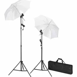 Studioset met e achtergrond en lampen 600x300 cm><noscript><img width=