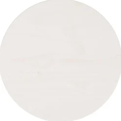 Tafelaccessoires*vidaXL Tafelblad Ø30x2,5 cm massief grenenhout Wit