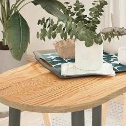 Tafelaccessoires*vidaXL Tafelblad 80x40x2 cm ovaal massief eikenhout Naturel